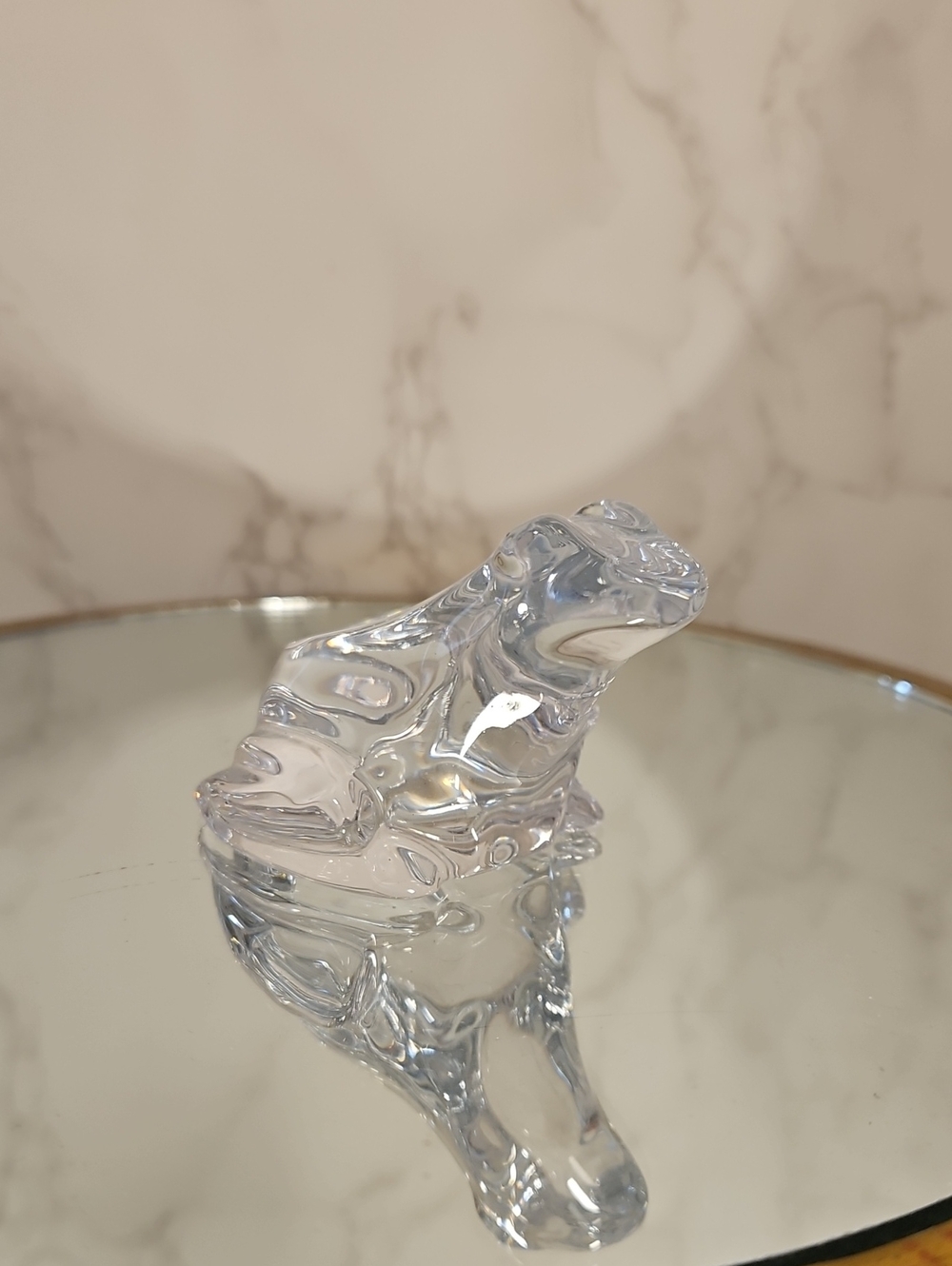 Glass Frog France